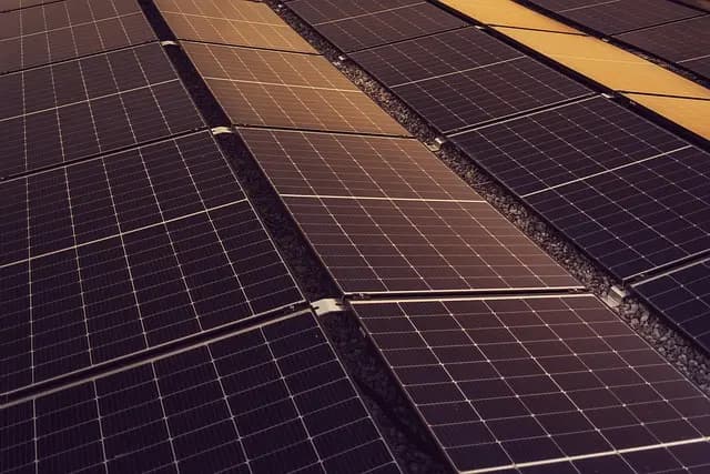 5 Stratégies pour intégrer des pratiques écologiques en entreprise