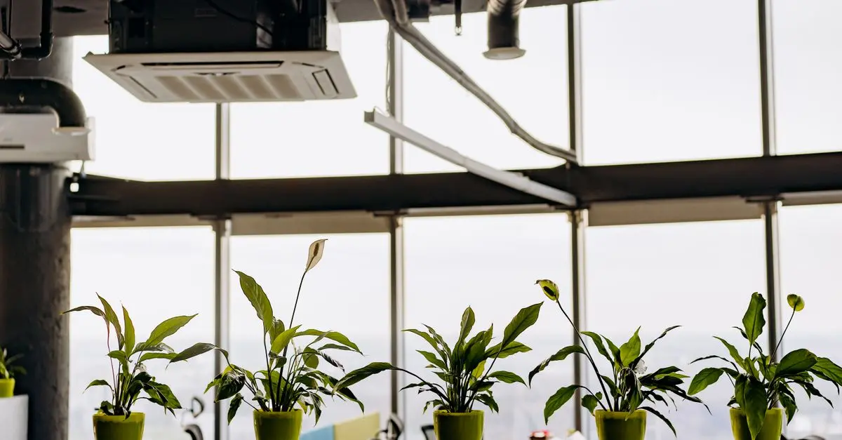 10 pratiques écologiques pour améliorer votre impact en entreprise