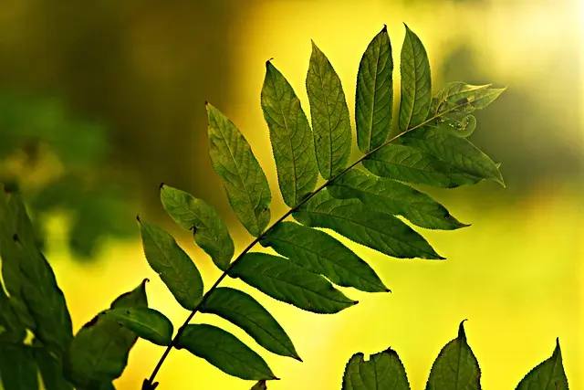 Comment créer un environnement de travail écoresponsable