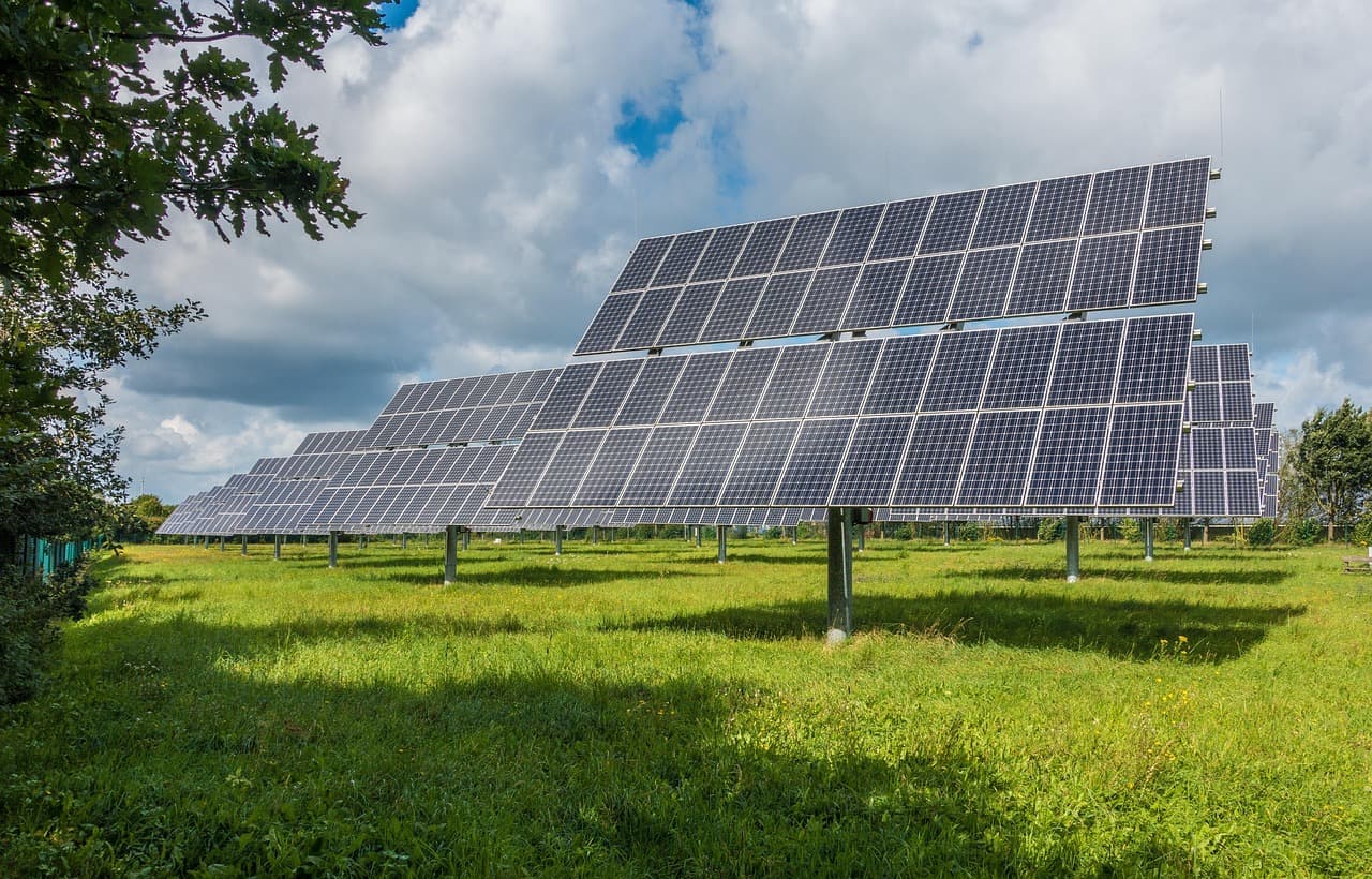 Les bénéfices des pratiques écologiques en entreprise