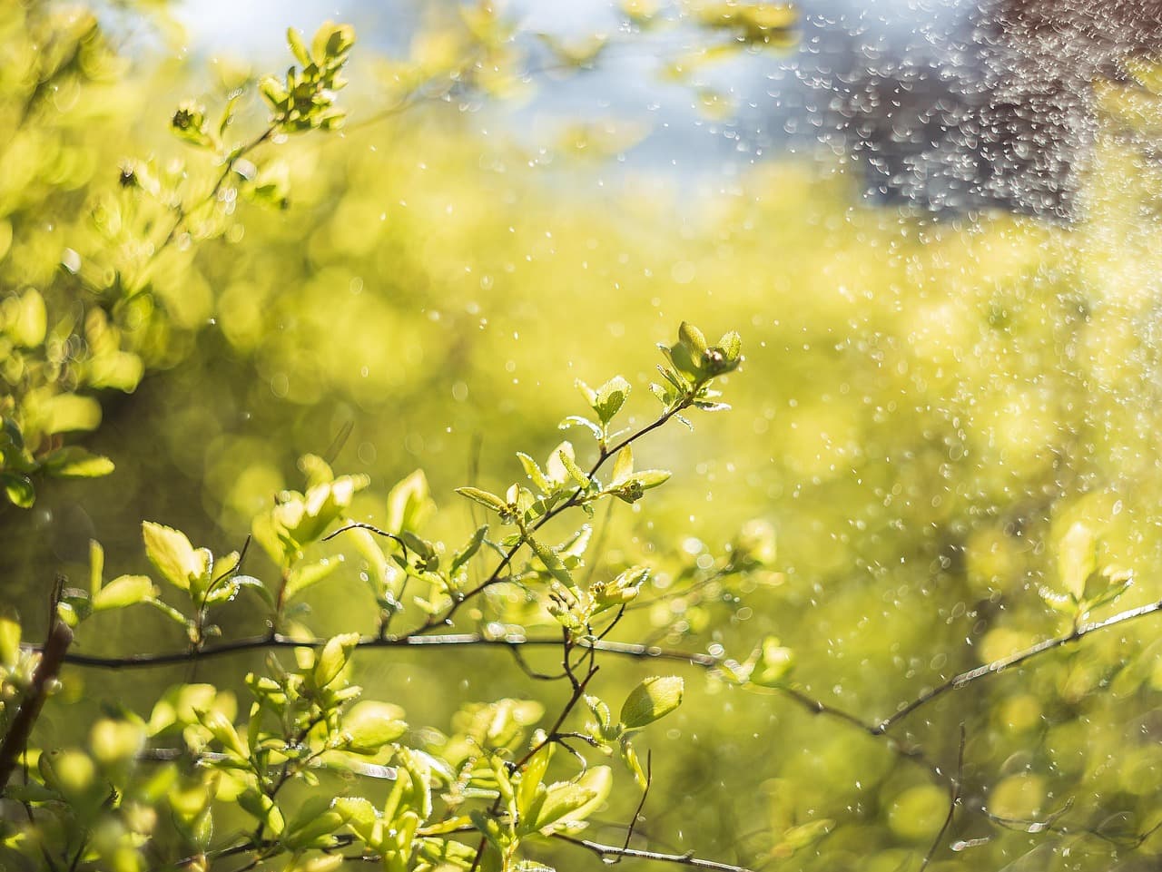Les avantages des bureaux partagés pour l'écologie